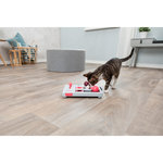 Cat Activity Brain Mover, 25×20 cm