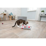 Cat Activity Brain Mover, 25×20 cm