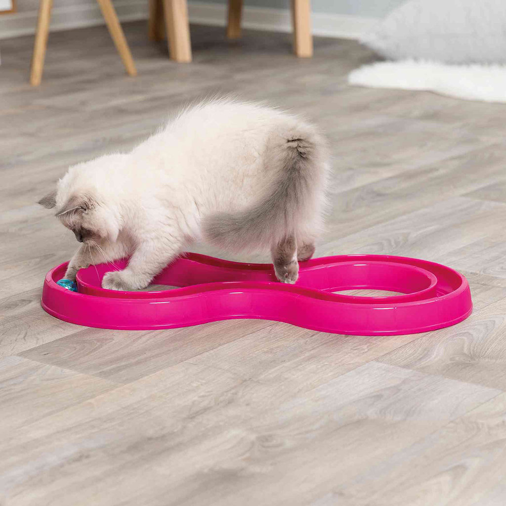 Juguete Gato, Carrera Pelota Flash, 65 × 31 cm, Rosa