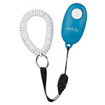 Soft Clicker Gato, Cat Activity