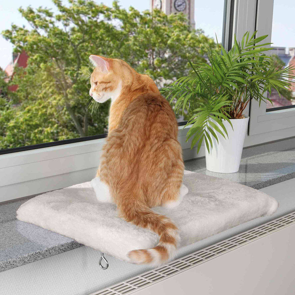 Plataforma Gatos Cosy Place, Ventana, 51 × 36 cm, Blanco