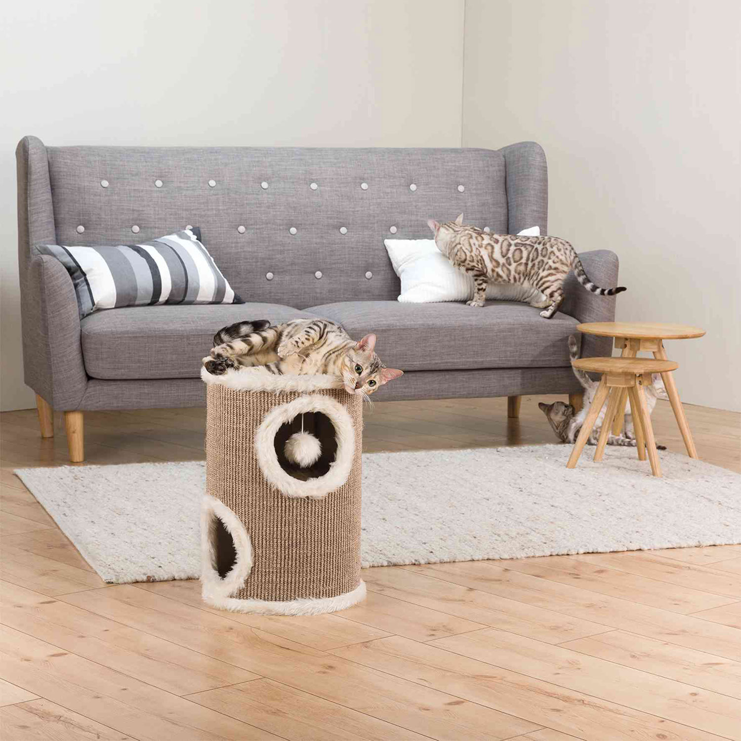 Trixie cat sales tower edoardo