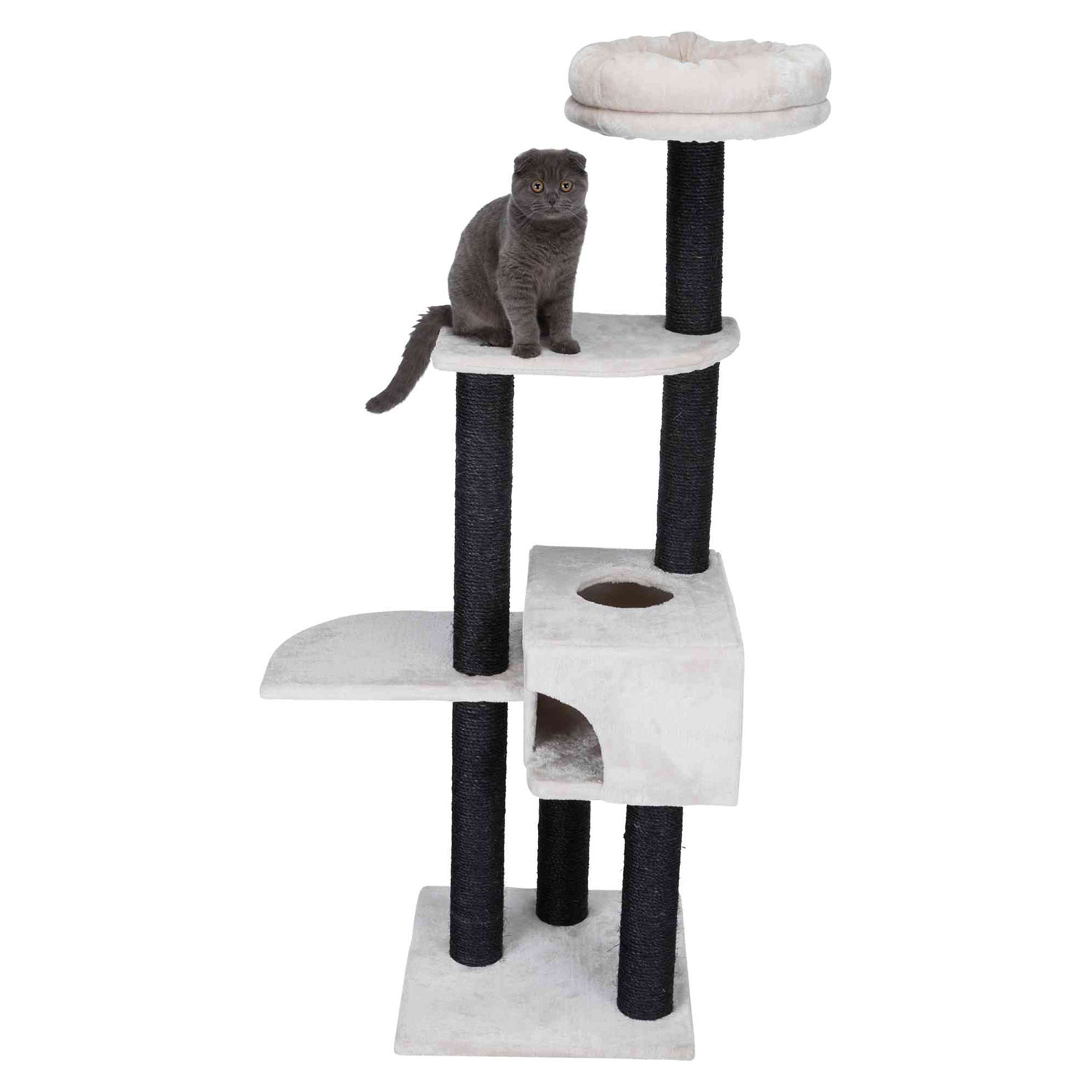 Rascadores trixie best sale