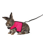 Rat soft harness with leash, nylon, belt: 60–130 cm/25 mm leash: 1.20 m/15 mm
