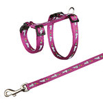 Set Conejos, totalmente Ajustable