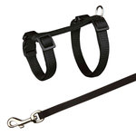 Set Cobayas, totalmente Ajustable