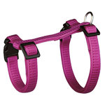 Set Cobayas, totalmente Ajustable