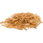 Mealworms, dried, 200 g