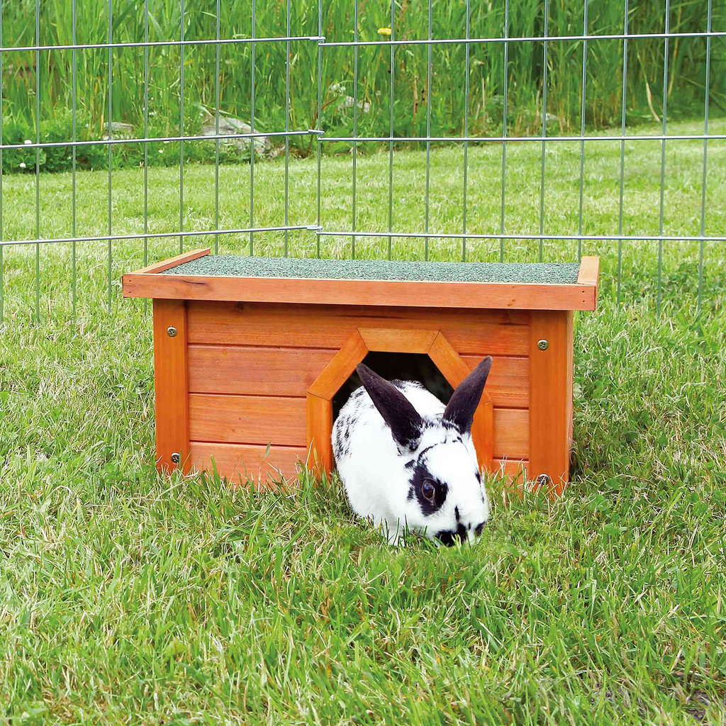 natura small animal hutch, 40 × 20 × 28 cm, brown