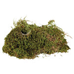 Terrarium moss, substrate for humid terrariums, 200 g