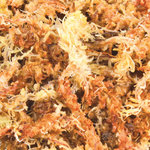 Sphagnum moss, tropical terrarium substrate, gives 4.5 l