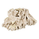Coral, 18 cm