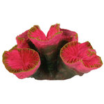Set de Corales, 10-13 cm