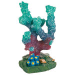 Set de Corales, 7 cm