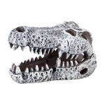 Set de Cráneos dinosaurios, 6 cm