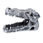 Set de Cráneos dinosaurios, 6 cm