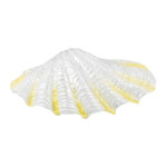 Set de Conchas, 6-9 cm