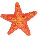 Set de Estrellas de mar, ø9 cm