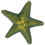 Set de Estrellas de mar, ø9 cm