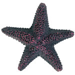 Set de Estrellas de mar, ø9 cm