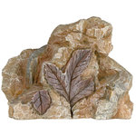 Set de Fósiles, 10 cm