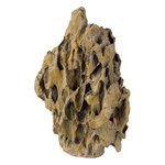 Fósil de corteza de pino, Grande, 20 cm