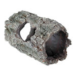 Tree trunk, 14 cm