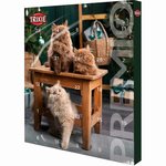 PREMIO advent calendar for cats, 24.5 × 37 × 3.5 c