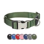 Collar NEW Premium, L–XL, 45–70 cm/25 mm, Verde Selva
