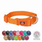 Collar NEW Premium, XXS–XS, 15–25 cm/10 mm, Azul