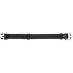 Premium collar, M–L: 40–60 cm/50 mm, black