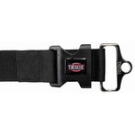 Premium collar, M–L: 40–60 cm/50 mm, black