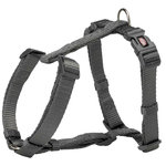 Arnés NEW Premium, L, 60–80 cm/25 mm, Grafito