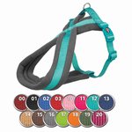 Arnés Confort NEW Premium, L–XL, 70–100 cm/25 mm, Océano