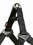 Petral NEW Premium, L, 65–80 cm/25 mm, Grafito