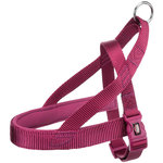 Arnés Noruego NEW Premium, L, 60–76 cm/40 mm, Orquídea