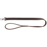 Greased Leather Strap for Rustic Dogs
