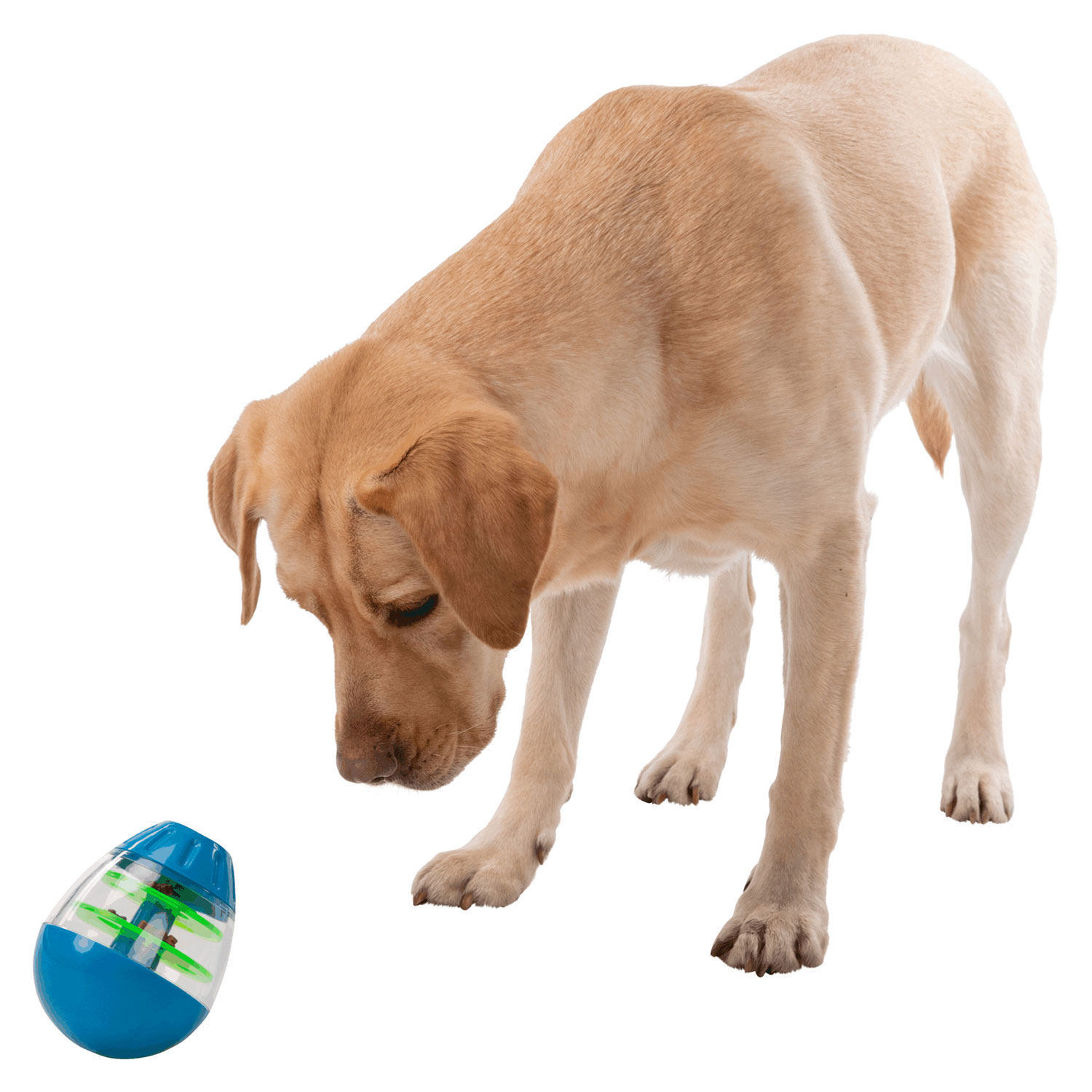Juguete Trixie Huevo con voltereta ❤️ La Tienda De Tu Perro