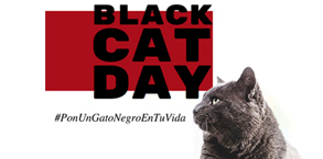 Leer más: Black Cat Day: por la adopción responsable