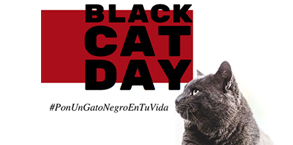 Leer mensaje completo: Black Cat Day: por la adopción responsable