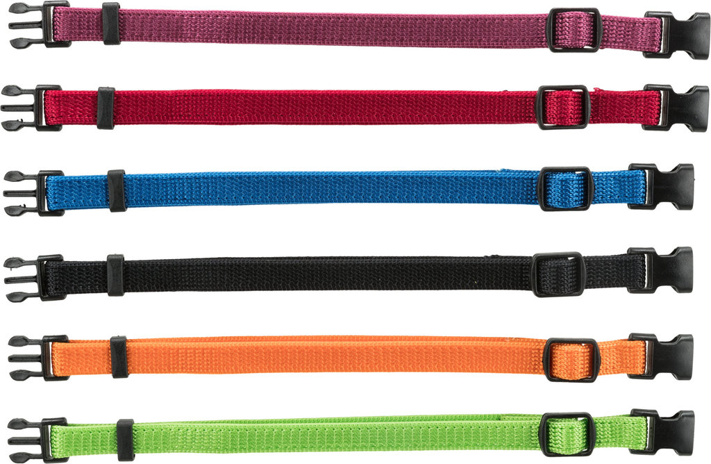 Junior set of puppy collars, M–L: 22–35 cm/10 mm, black, red, royal blue, apple, papaya, orchid