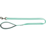 Correa Premium, M–L: 1.00 m/20 mm, Menta