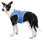 Cooling vest, PVA, XL: 40 cm, blue
