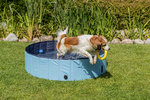 Dog pool, ø 70 × 12 cm, light blue/blue