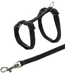 Junior kitten harness with leash, 19–31 cm/8 mm, 1.20 m