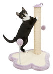 Junior scratching paw with post, 40 × 50 × 38 cm, light lilac/natural