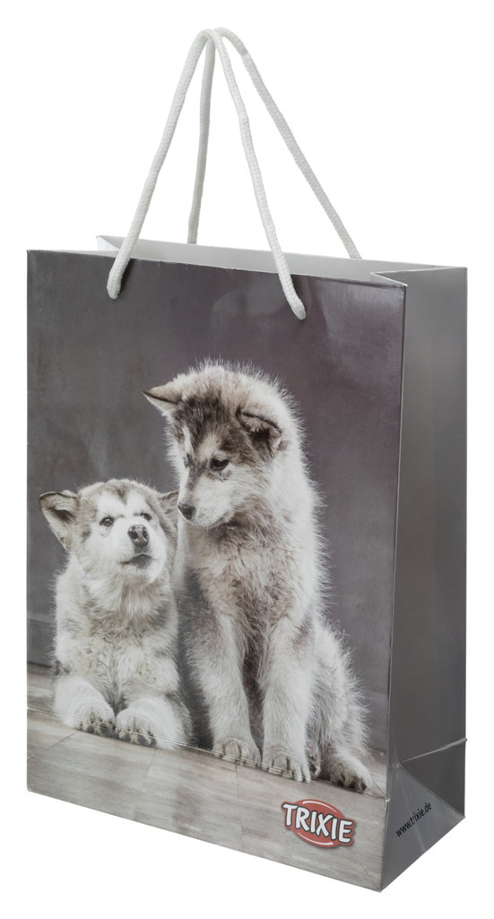 Bolsa de papel JUNIOR, 23 × 31 × 10 cm, foto de motivo