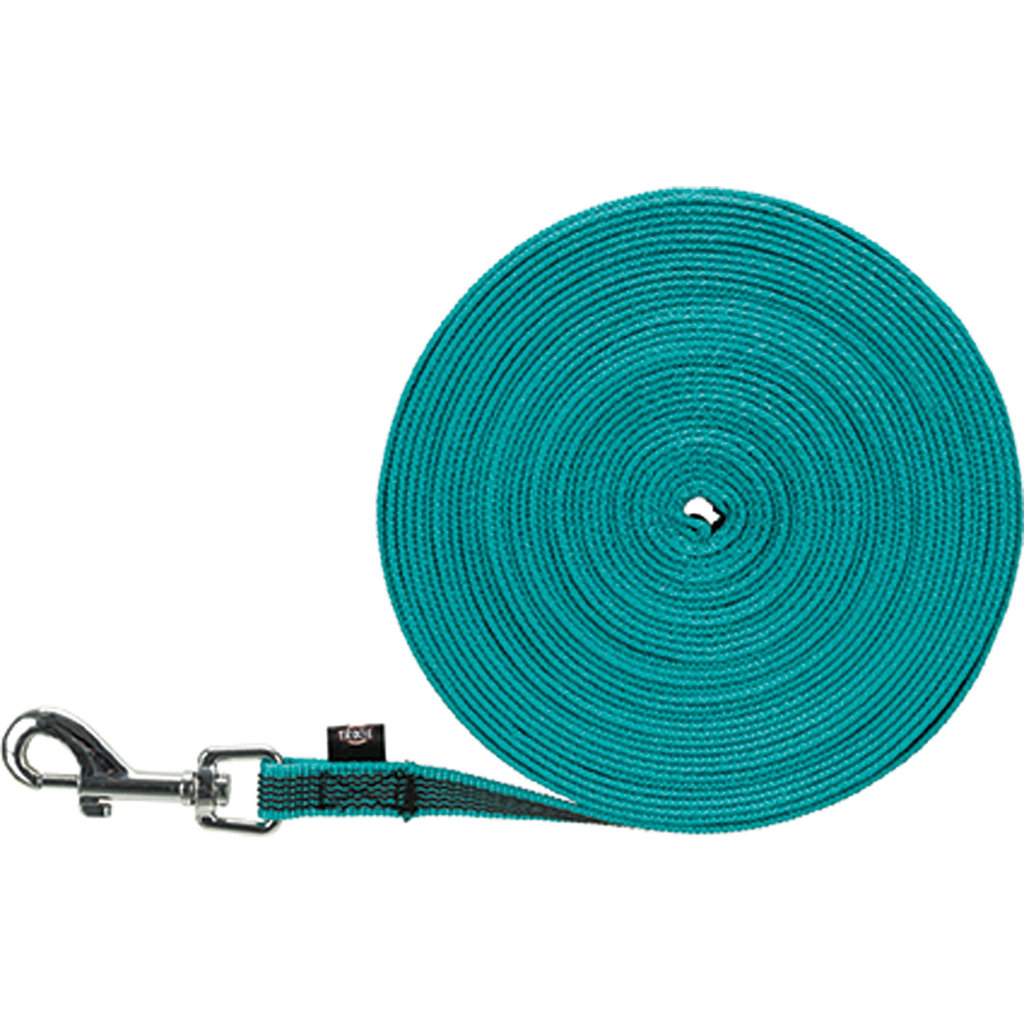 Correa de Rastreo, 10 m/15 mm, Turquesa