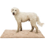 Alfombrilla Absorbe Suciedad, impermeable, 80 × 60 cm, Beige