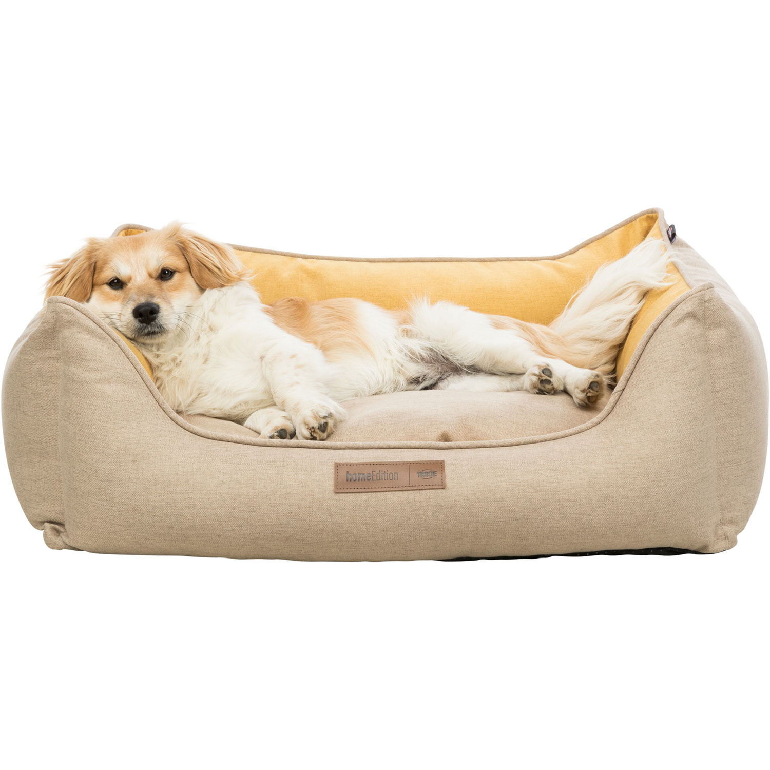 Cama perro sales lona